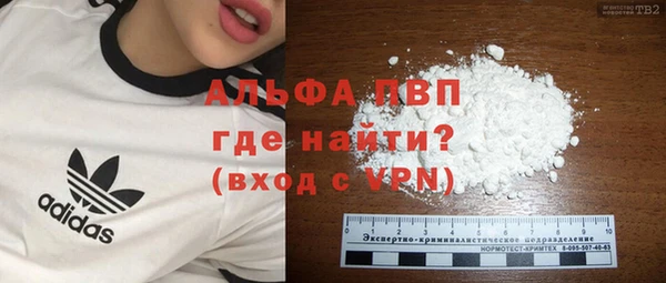 стафф Ельня