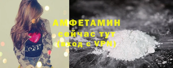 стафф Ельня