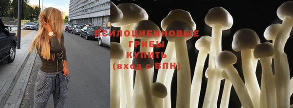 твердый Елабуга