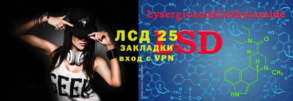 стафф Ельня