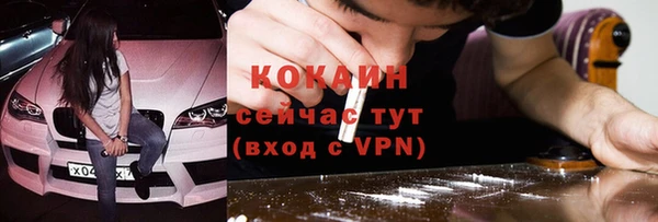 стафф Ельня