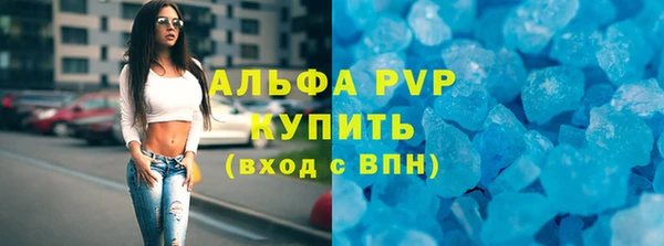 стафф Ельня