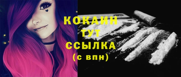 стафф Ельня