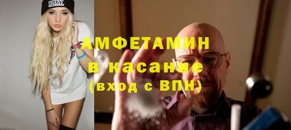 стафф Ельня