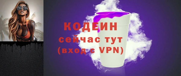 стафф Ельня