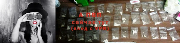 дмт Елизово