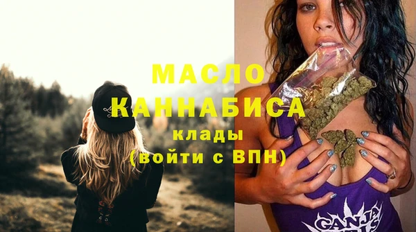 стафф Ельня