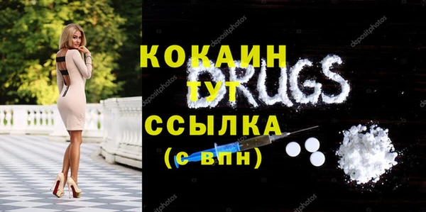 дмт Елизово