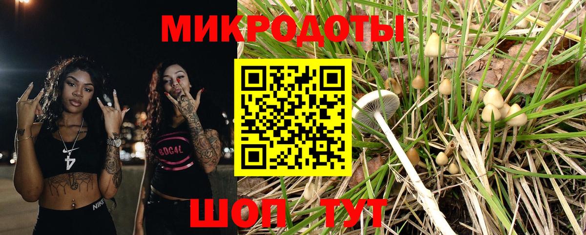 Псилоцибиновые грибы GOLDEN TEACHER Заводоуковск